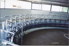 ROTARY MILKING PLATFORMS