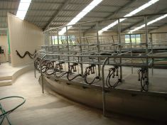 ROTARY MILKING PLATFORMS