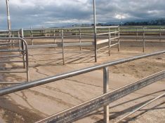 ROTARY MILKING PLATFORMS