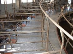 ROTARY MILKING PLATFORMS