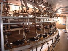 ROTARY MILKING PLATFORMS